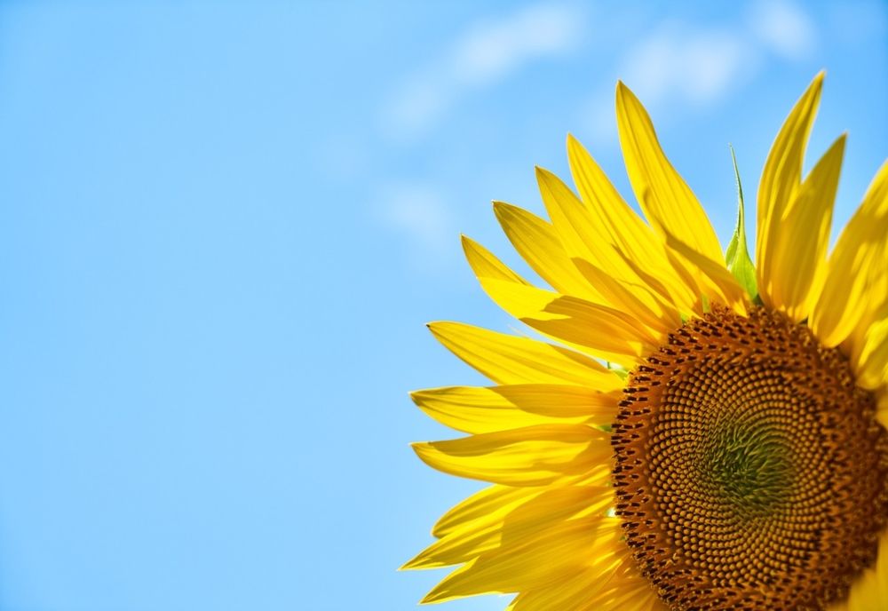 Vremea 17 august. Temperaturile pot trece de 37 de grade