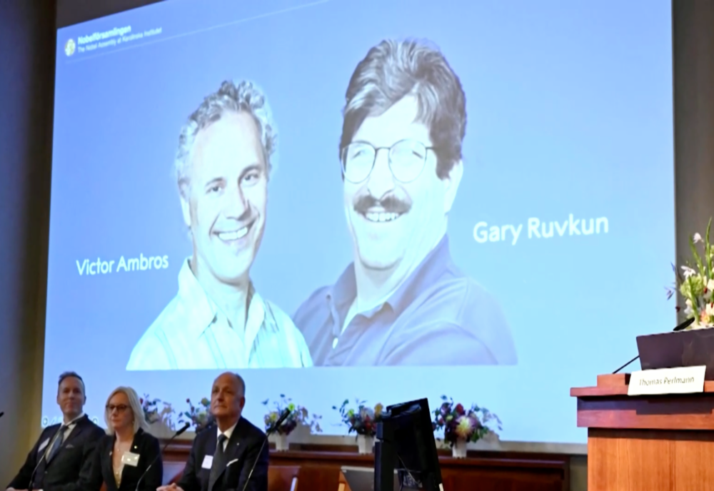 PREMIUL NOBEL PENTRU MEDICINĂ 2024, CÂȘTIGAT DE CERCETĂTORII VICTOR AMBROS ȘI GARY RUVKUN 