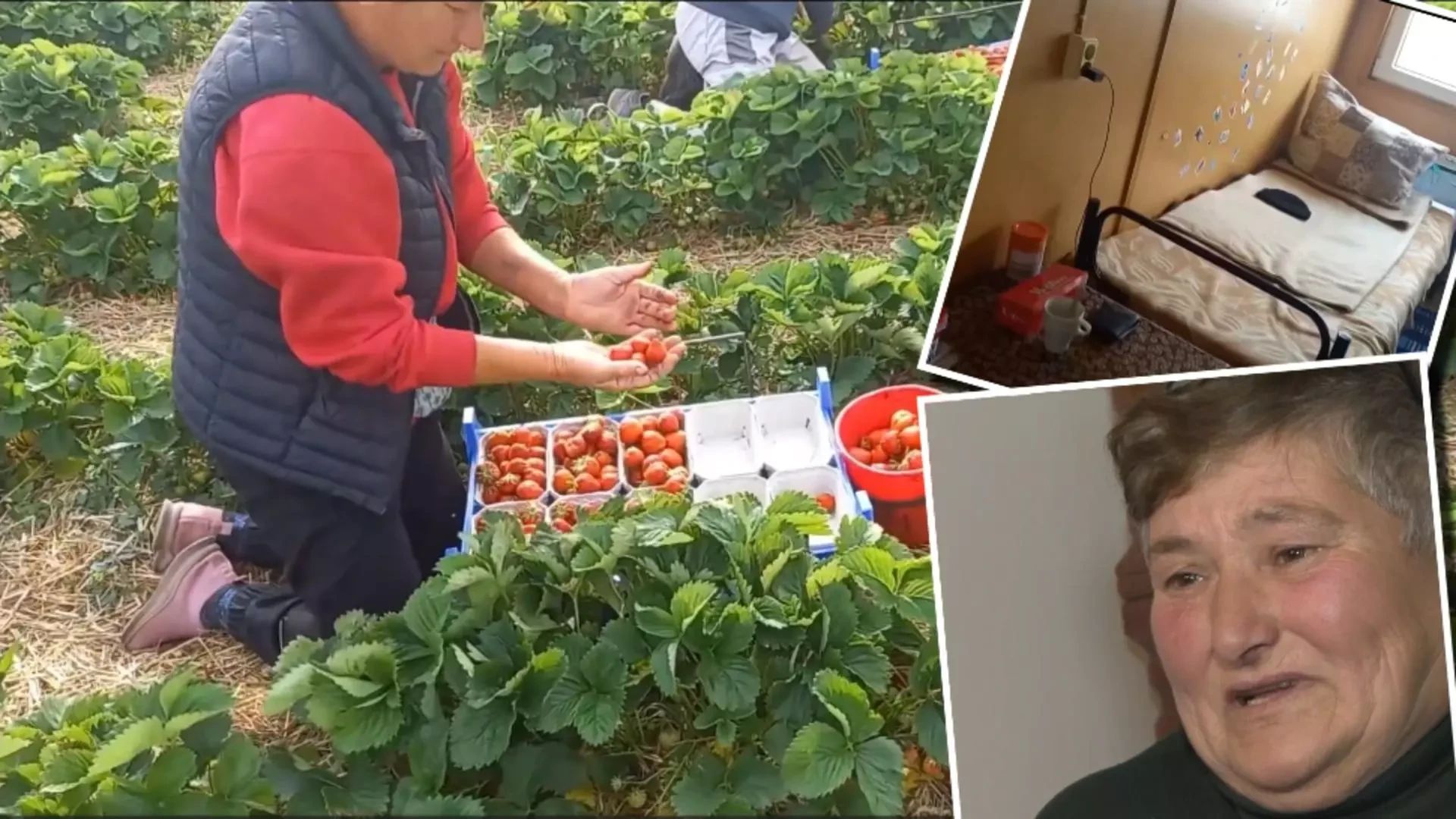 Mărturii sfâșietoare de la românii din străinătate